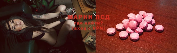 ECSTASY Богданович