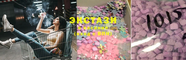 ECSTASY Богданович